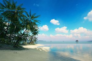 Unreal Engine Brushify – Tropical Pack UE7605