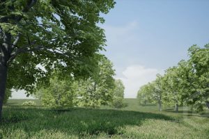 Unreal Engine Trees: Maple Tree UE7698