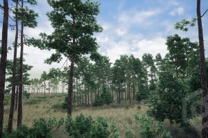 Unreal Engine Trees: Pine Tree UE7699