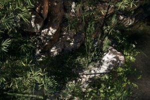 Unreal Engine – Bamboo Valley UE7298