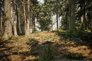 Unreal  MW Conifer Trees Forest Biome UE7360