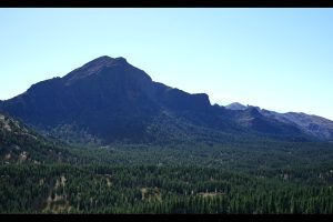 Unreal  PLE – Procedural Landscape Ecosystem UE7368