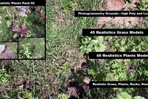 Unreal Realistic Plants and Grass Pack 02 UE7374