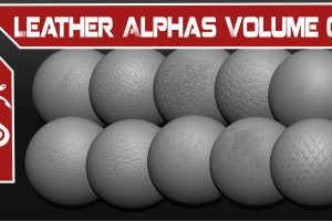 Leather Alphas Volume 01 C5824
