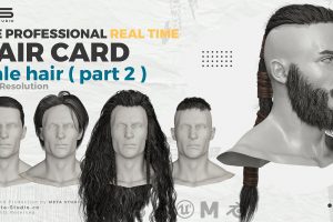 Male Hair Part 2 – Professional Realtime Hair Card C5850