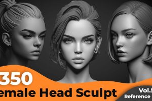 +350 Female Head Sculpt Reference(4k) C5884