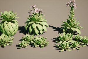 Unreal Engine – Succulent plant desert potting UE7773