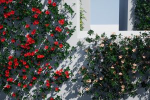 Unreal Engine – Courtyard Vine UE7812