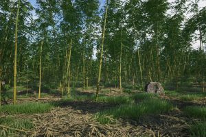 Unreal Engine – Bamboo Plants Pack UE7830