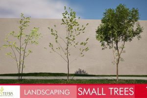 Unreal Engine – Landscaping Small Trees 1 UE7788