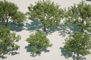 Unreal Engine – Fruit Tree V2 UE7791