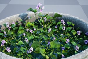 Unreal Engine – Water tank Aquatic plants UE7764