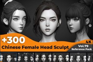 +300 Chinese Female Head Sculpt(4k) C5883