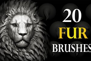 Zbrush + Blender – 20 Stylized Fur VDM Brush C5896