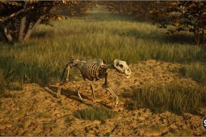 Unreal Engine – Animalia Lion male UE7881