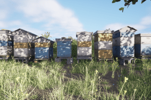 Unreal Engine – Beehives Modular Pack UE8027