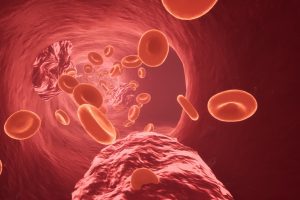 Unreal Engine – Blood Circulation UE8021