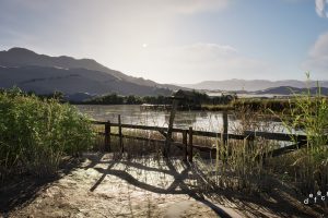 Unreal Engine – PCG Biome River Generator UE7898