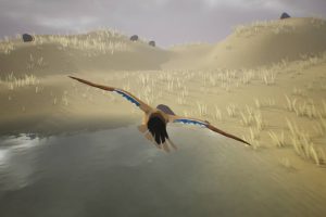 Unreal Engine – Low Poly Bird Mallard Duck UE7939