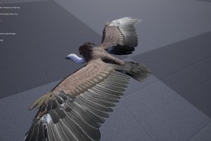 Unreal Engine – Vulture UE8062