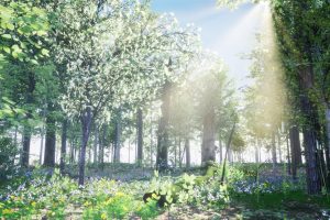 Unreal Engine – 35 AR VR Northeastern US Plants and Ecosystems UE7893