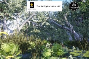 Unreal Engine – Xeric Hammock Habitat Brush UE8340