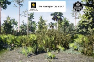 Unreal Engine – Wet Flatwoods Habitat Brush UE8341