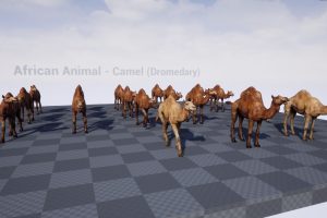 Unreal Engine African Animal – Camel (Dromedary) UE8247