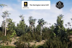 Unreal Engine Basin Swamp Habitat Brush UE8259