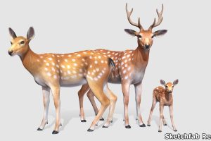 Unreal Engine Deer Family UE8267