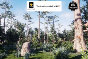 Unreal Engine Depression Marsh Habitat Brush UE8268