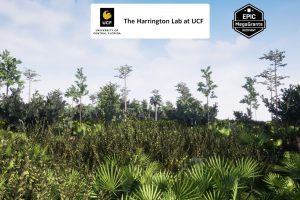 Unreal Engine Mesic Flatwoods Habitat Brush UE8286