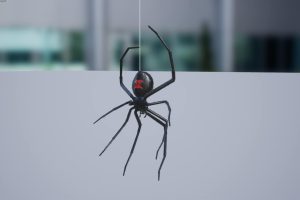 Unreal Engine – Medhue Insect Pack UE8336