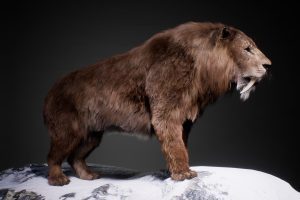 Unreal Engine – The Sabertooth UE8655