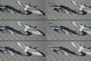 Unreal Engine – Realistic 3D Pigeon Animations Pack UE8678