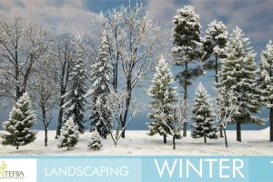 Unreal Engine – Landscaping Winter 1 UE8857
