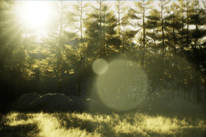 Unreal Engine – Sun Flares UE8235