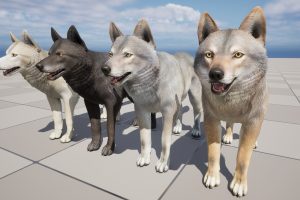 Unreal Engine – Wolf Male UE8636