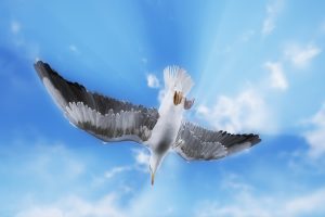 Unreal Engine – Birds UE8644