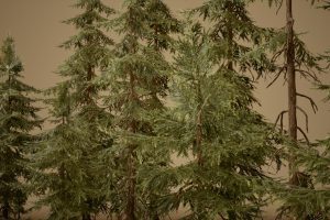 Unreal Engine – Foliage VOL 4 Spruce Trees Nanite and Low Poly UE8681