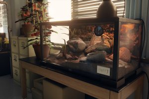 Unreal Engine – High school Science Lab Classroom 90s themed UE8736