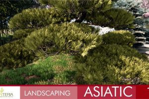 Unreal Engine – Landscaping Asiatic 1 UE8858