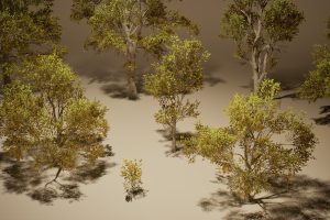 Unreal Engine – Foliage VOL 3 Oak Trees Nanite and Low Poly UE8361