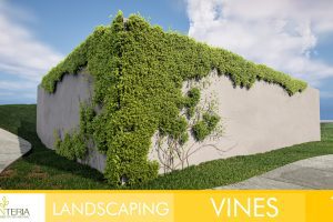 Unreal Engine – Landscaping Vines 1 UE8777