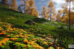 Unreal Engine – Procedural Biomes UE8513