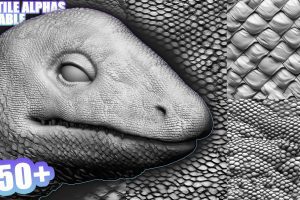 250+ Tileable Reptile, Dragon, Snake Skin Alphas for ZBrush (Displacement map) vol.4  C5951
