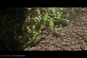 Unreal Engine – Nanite Fern Vol 1 UE9100