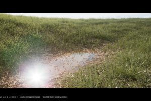 Unreal Engine – Nanite Grass Vol 1 UE9099