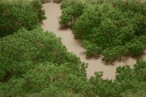 Unreal Engine – Foliage VOL 9 Coyote Bushes Nanite and Low Poly UE9107