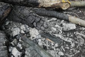 Unreal Engine – Burned wood UE9116